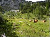 Planina Blato - Vršaki (Južni vrh)